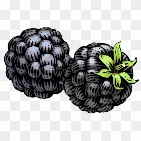 Blackberry Png Image With Transparent Background - Siggi's Low Fat Yogurt, Png Download - blackberry png