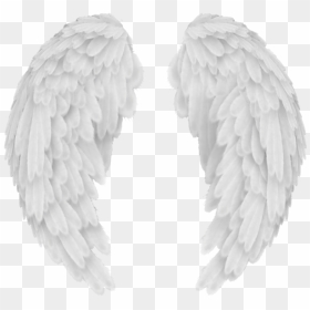 Transparent Angel Wings Vector Png - Transparent Background Angel Wings Png, Png Download - angel wings vector png