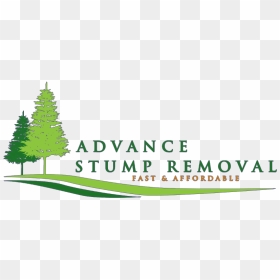 Asr Logo S4 - Seymour Pierce, HD Png Download - tree stump png