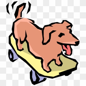 Dogs Vector Illustrator - Animal Riding A Skateboard Png, Transparent Png - dog vector png
