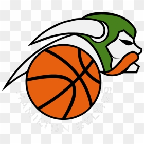 Hamilton Celtics Basketball - Shoot Basketball, HD Png Download - celtics png