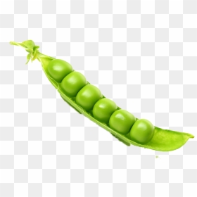 Pea Free Png - Peas Transparent Png, Png Download - pea png