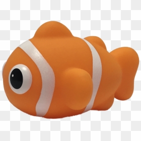 Clownfish, HD Png Download - clown fish png
