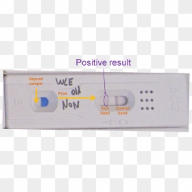 Pregnancy Tests Folding Solution - False Positive Hcg Pregnancy Test Results, HD Png Download - pregnancy test png