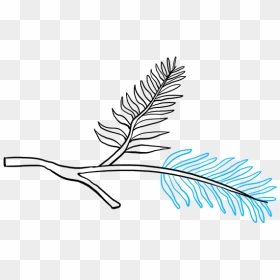 How To Draw Pinecone - Draw Pine Needles Easy, HD Png Download - pinecone png