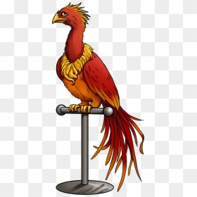 Phoenix Clipart Harry Potter Phoenix, Phoenix Harry - Drawing Harry Potter Phoenix Bird, HD Png Download - pheonix png