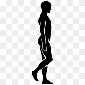 Transparent Human Walking Png - Person Walking, Png Download - man walking silhouette png