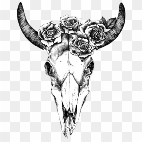 Texas Longhorn Drawing Human Skull Symbolism Bull - Bull Skull, HD Png Download - bull skull png
