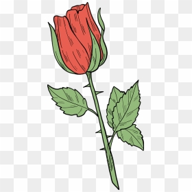 Red Rose Clipart - Rose, HD Png Download - rose bud png