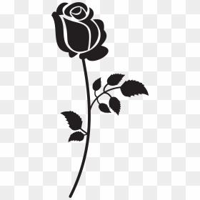 Picture Free Download Silhouette At Getdrawings Com - Black And White Rose Clipart, HD Png Download - rose bud png