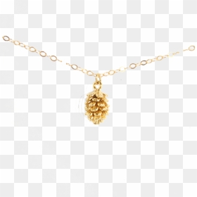 Locket, HD Png Download - pinecone png