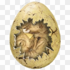 #fossil #dinosauregg #hatching #cracked #egg #dinosaur - Calabaza, HD Png Download - cracked egg png