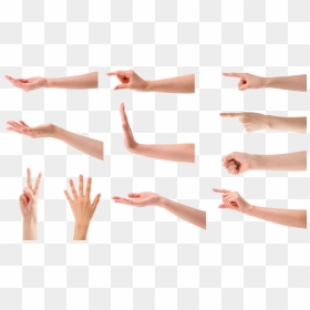 Hand Palm Up Png, Transparent Png - hands up png