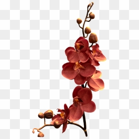 Pink Orchid Flower, HD Png Download - orchids png