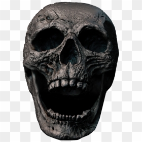 Hd Skull Transparent Png Image Download - Scary Skeleton Face Png, Png Download - bull skull png