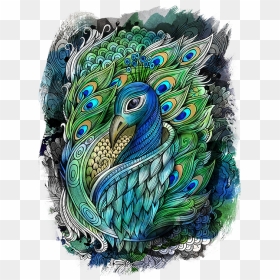 Peacock Drawing Water Colour, HD Png Download - peacock png hd