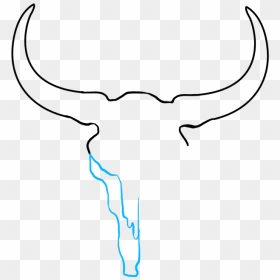 How To Draw Bull Skull - Draw A Cow Skull, HD Png Download - bull skull png