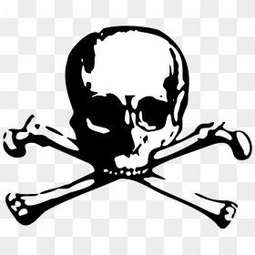 Skull Crossbones Vector, HD Png Download - danger symbol skull png