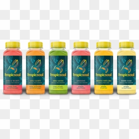 Tropicsoul Lineup Final Sm, HD Png Download - tropical drink png