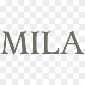Transparent Mila Kunis Png - Vase, Png Download - mila kunis png