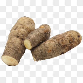 Taro Png Transparent Hd Photo - Wood Yam, Png Download - yam png