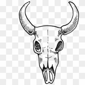 Skull - Bull, HD Png Download - bull skull png