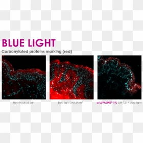 Transparent Blue Light Rays Png - Graphic Design, Png Download - red glitter png
