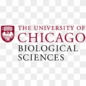University Of Chicago Png - Emblem, Transparent Png - university of chicago logo png