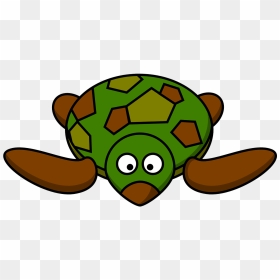 Cartoon Turtle Clipart, HD Png Download - cute turtle png