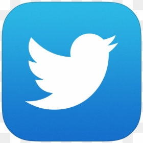 Twitter Icon Ios 7 Png Image - Transparent Background Twitter Logo, Png Download - twitter app logo png