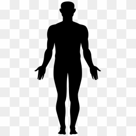Whole Body - Standing, HD Png Download - full body png