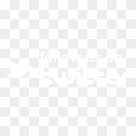 Follow Us On Twitter - Twitter, HD Png Download - follow us png