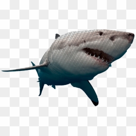 Great White Shark Png, Transparent Png - shark tank logo png