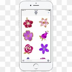 Viola, HD Png Download - available on the app store png