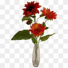 Transparent Flower Vase Png - Common Zinnia, Png Download - flower vase with flowers photography png