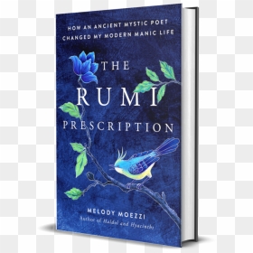 Rumi Prescription 3d - Get Your Life Back John Eldredge, HD Png Download - prescription png