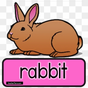 Teacherfiera Com Would Really - Rabbit Clip Art, HD Png Download - bakra png