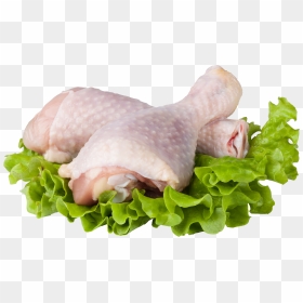Chicken Meat White Background, HD Png Download - broiler chicken meat png