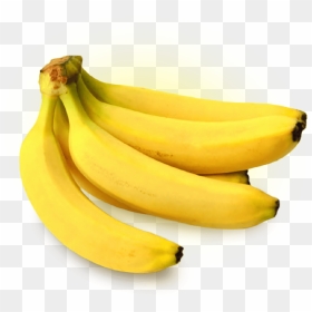 Banana Png Amp Banana Transparent Clipart Free Download - Banana Png, Png Download - single banana tree plant png