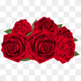 Beautiful Dark Red Roses - Red Roses Clip Art, HD Png Download - wedding rose flower png