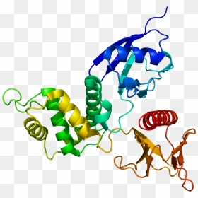 Protein Rdx Pdb 1gc6 - Protein Tertiary Structure Cool, HD Png Download - dipper pines png