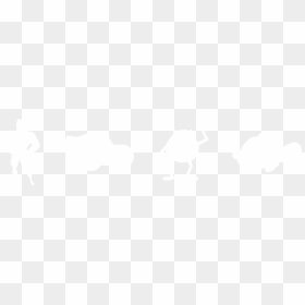 Johns Hopkins Logo White, HD Png Download - pixar png