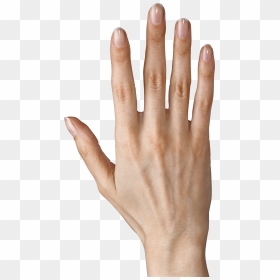 Showing Five Fingers Png - Hand Transparent Background, Png Download - lady finger png