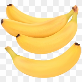 Banana Clipart , Png Download - Food Items Clipart, Transparent Png - single banana tree plant png