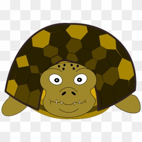 Cartoon Turtle Clipart - Front Side Tortoise Clipart, HD Png Download - cute turtle png