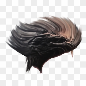 Hair Png For Photoshop, Transparent Png - hair png for photoshop