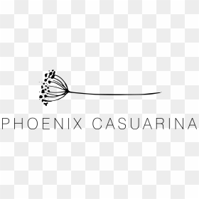 Phoenix Casuarina - Canoeing, HD Png Download - phoenix black and white png