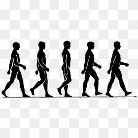 Drawing The Human Figure Tips For Beginners - Man Walking Step By Step, HD Png Download - human figures png