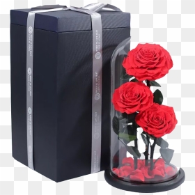 Garden Roses, HD Png Download - wedding rose flower png