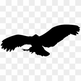 Silhouette Eagle Transparent Background, HD Png Download - flight png